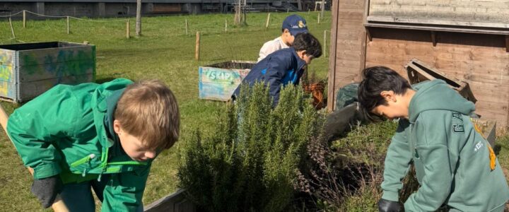Das Hochbeetprojekt der 2d im Oberhafen startet in die neue Saison