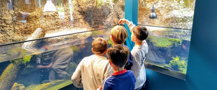 Ausflug der Klasse 4d ins Ökotarium – Forschen, Staunen, Verstehen